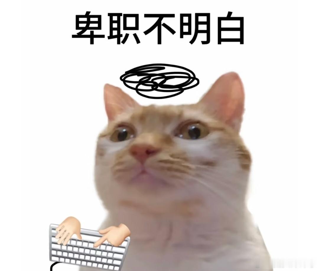 又是新的一天，美好的一天从问候开始，早上好王一博，早上好肖战，早上好我的朋友们，