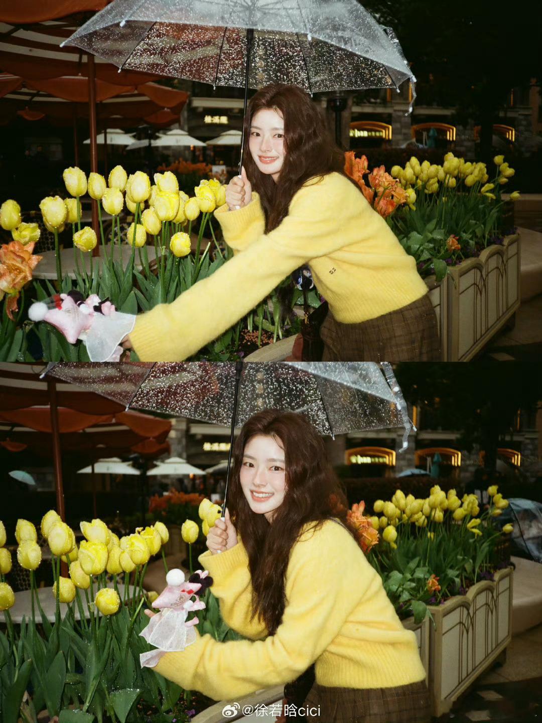 黄景瑜徐若晗新剧开机海报黄景瑜徐若晗开机海报黄景瑜徐若晗新剧开机海报，海报 