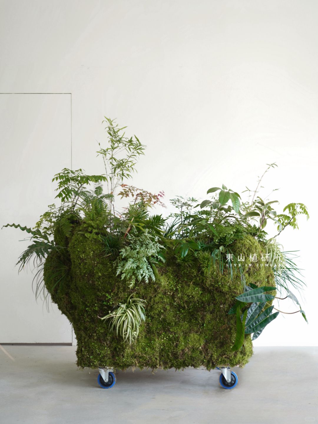 绿植装置|绿野仙踪 移动的丛林岛屿🏝️