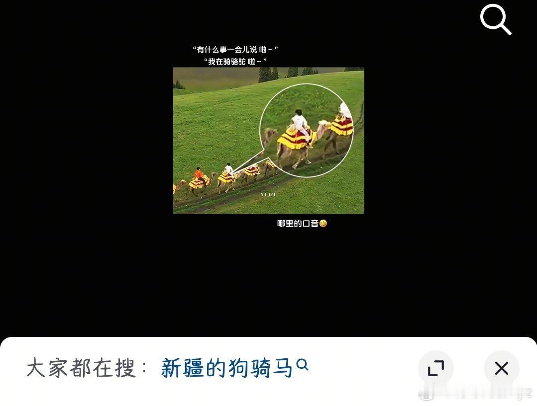 用户张泽禹，一只小汪汪，户籍哈尔滨，骑骆驼中，IP新疆张泽禹的快乐充能站 ​​​