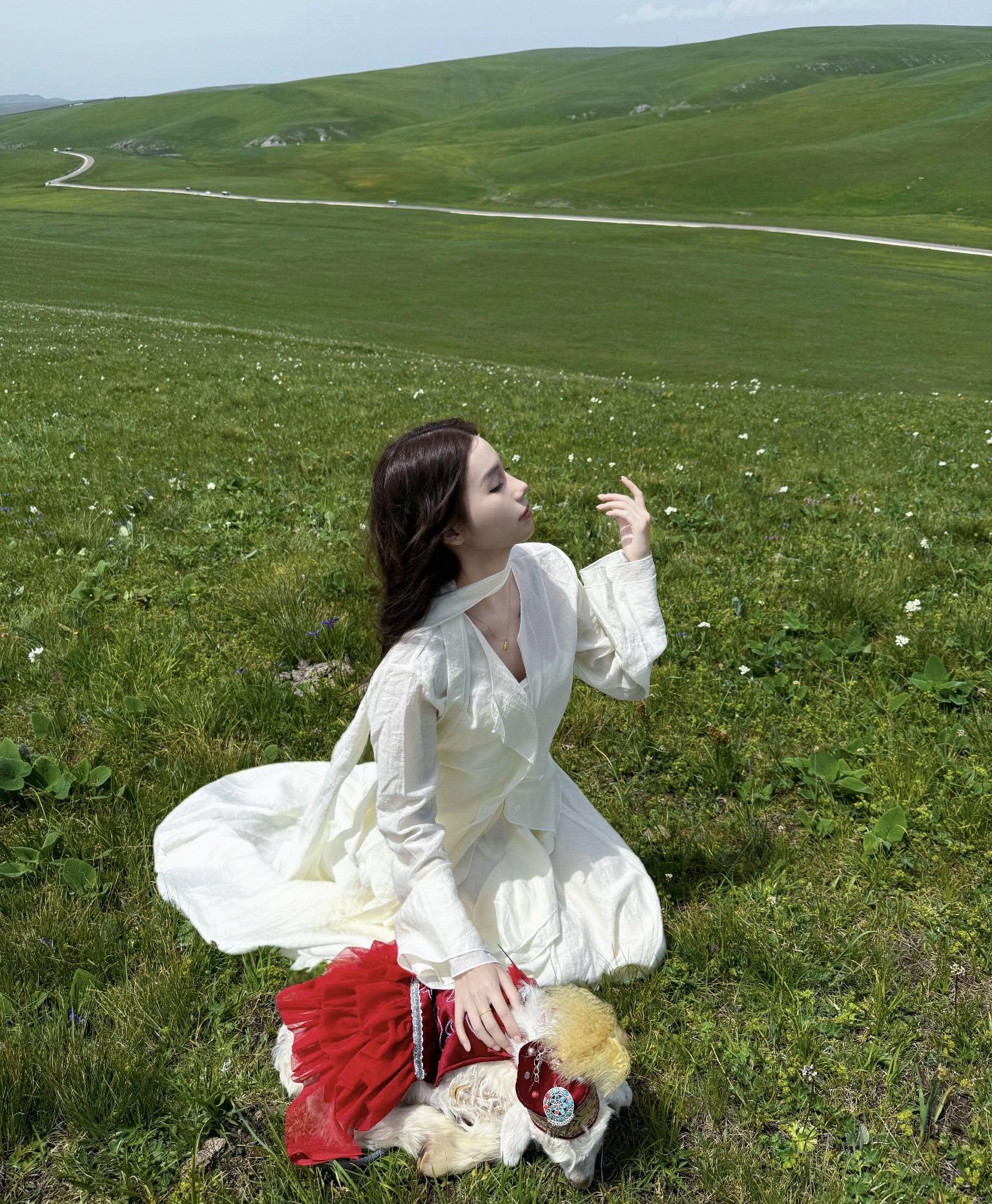 小羊没有烦恼🐑