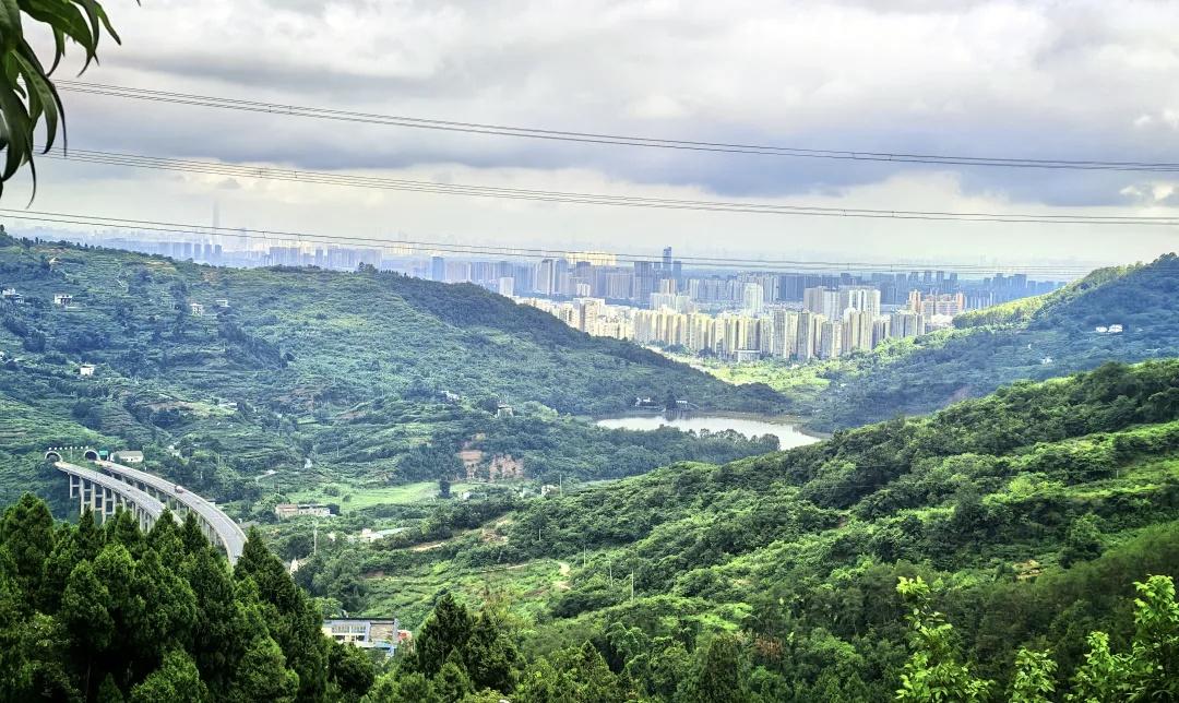 【清明将至，防火先行！守护龙泉山，让清明更“清明”】清明节临近，作为祭祀先祖、缅