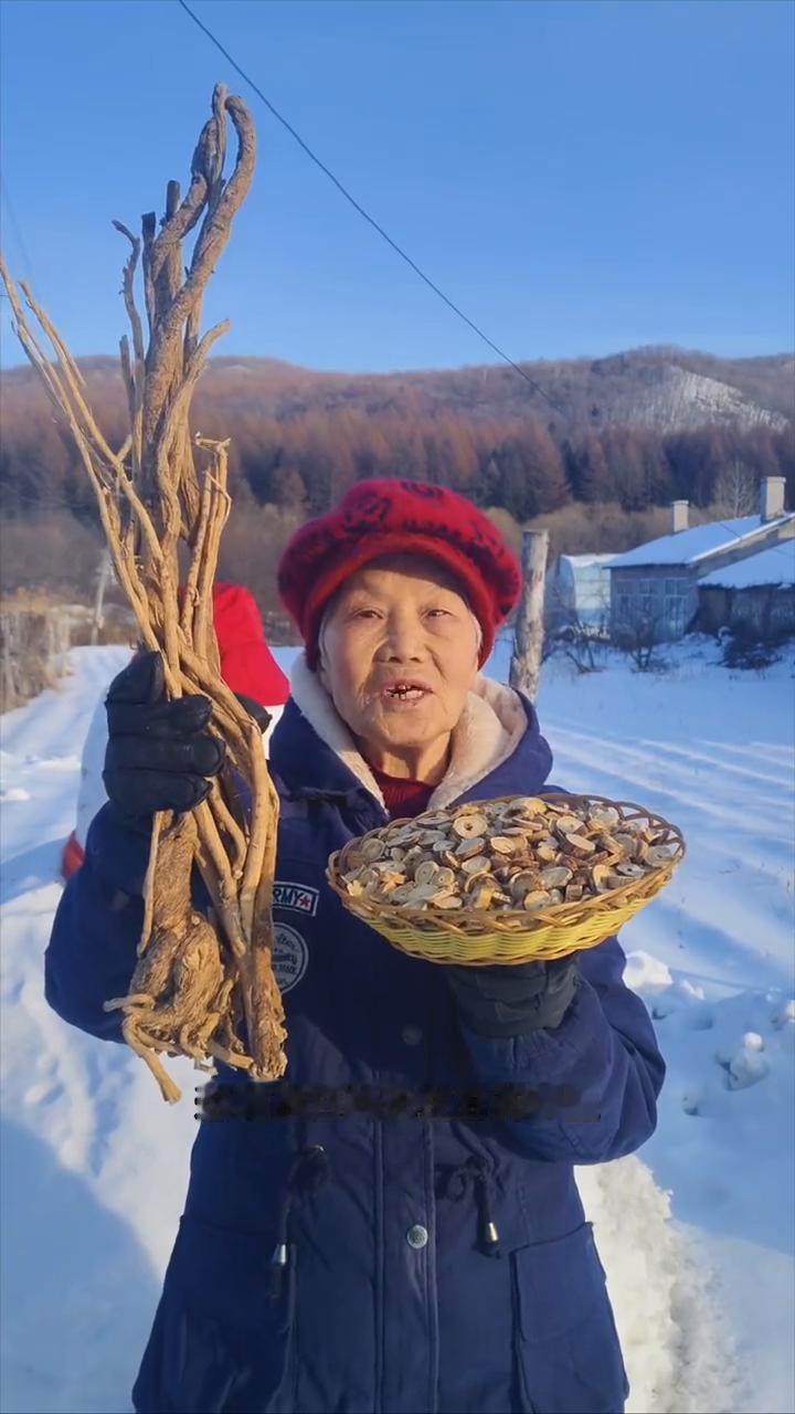 黑龙江原始大森林最低零下40来度，寒带的黄芪赛黄金。
我家是小兴安岭的主脉，原始