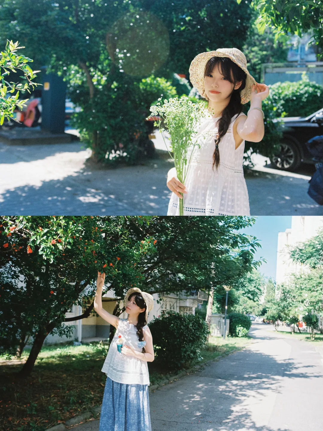 树影晃来晃去的夏天🍃🐈