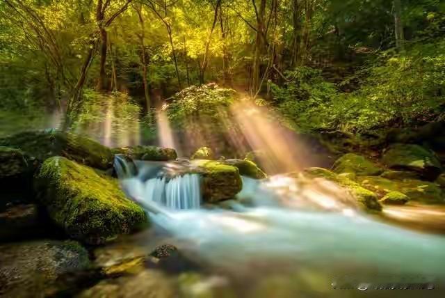 从今晚12点起，只要心静者，就会让一切霉运从此清零。
想想这一年，倒霉事儿一件接