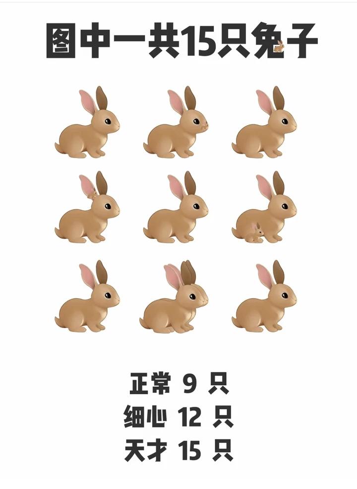 你能看到几只“兔”？