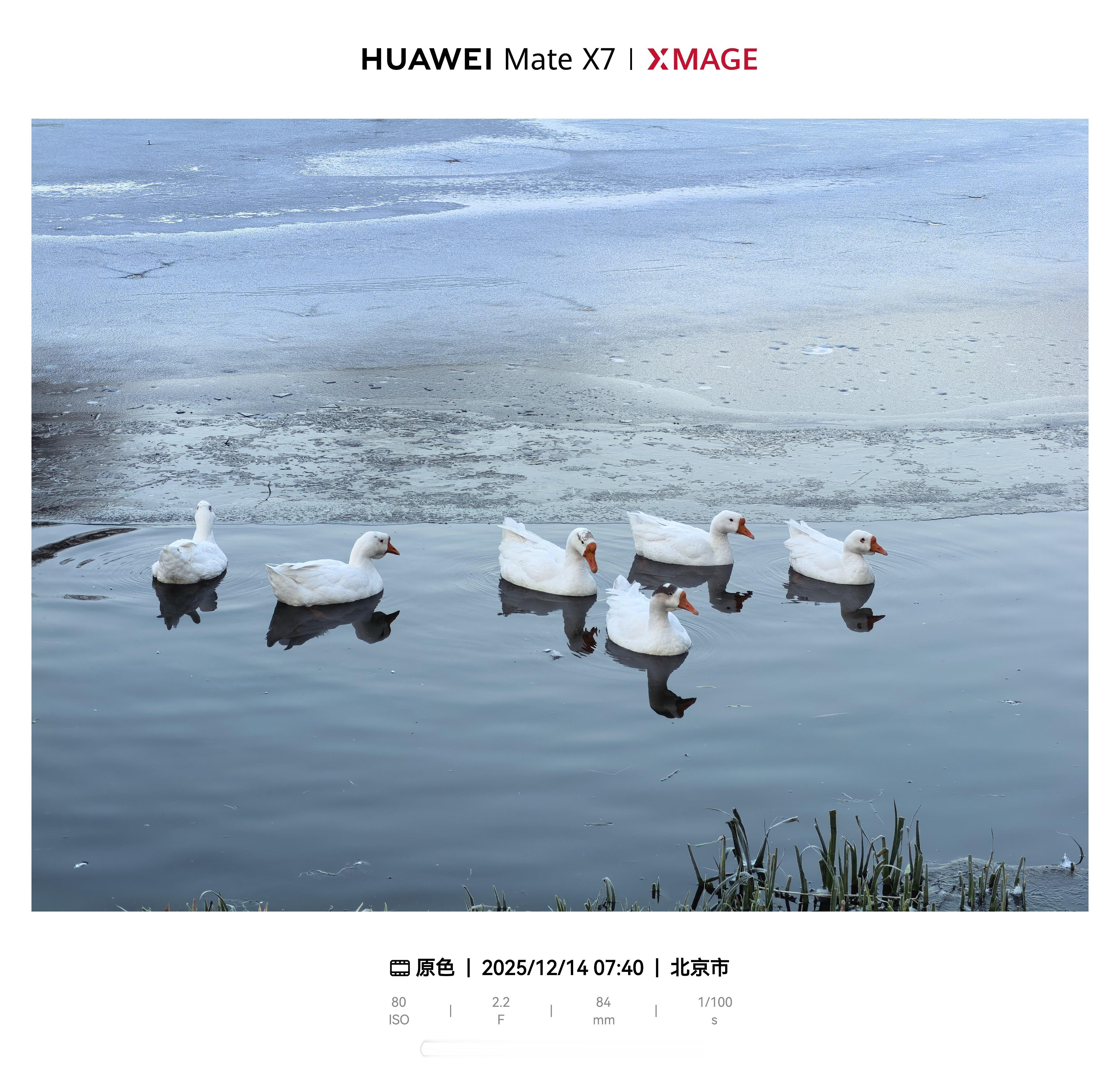 早上好呀，没赶上下雪，可算是拍上雪了，估计后天就化没了今年下雪为啥不撒融雪剂了微