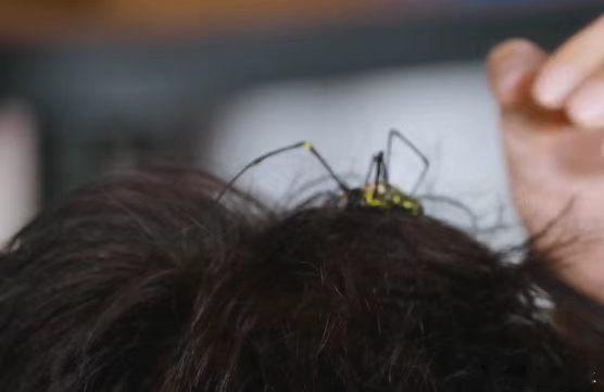 邓超superman变spiderman邓超把毒蜘蛛放在头上  邓超每次上综艺都
