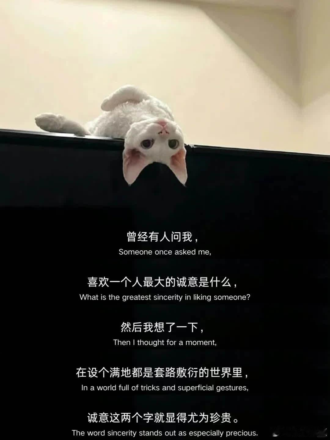 喜欢一个人最大的诚意  曾经有人问我，喜欢一个人最大的诚意是什么，  然后我想了