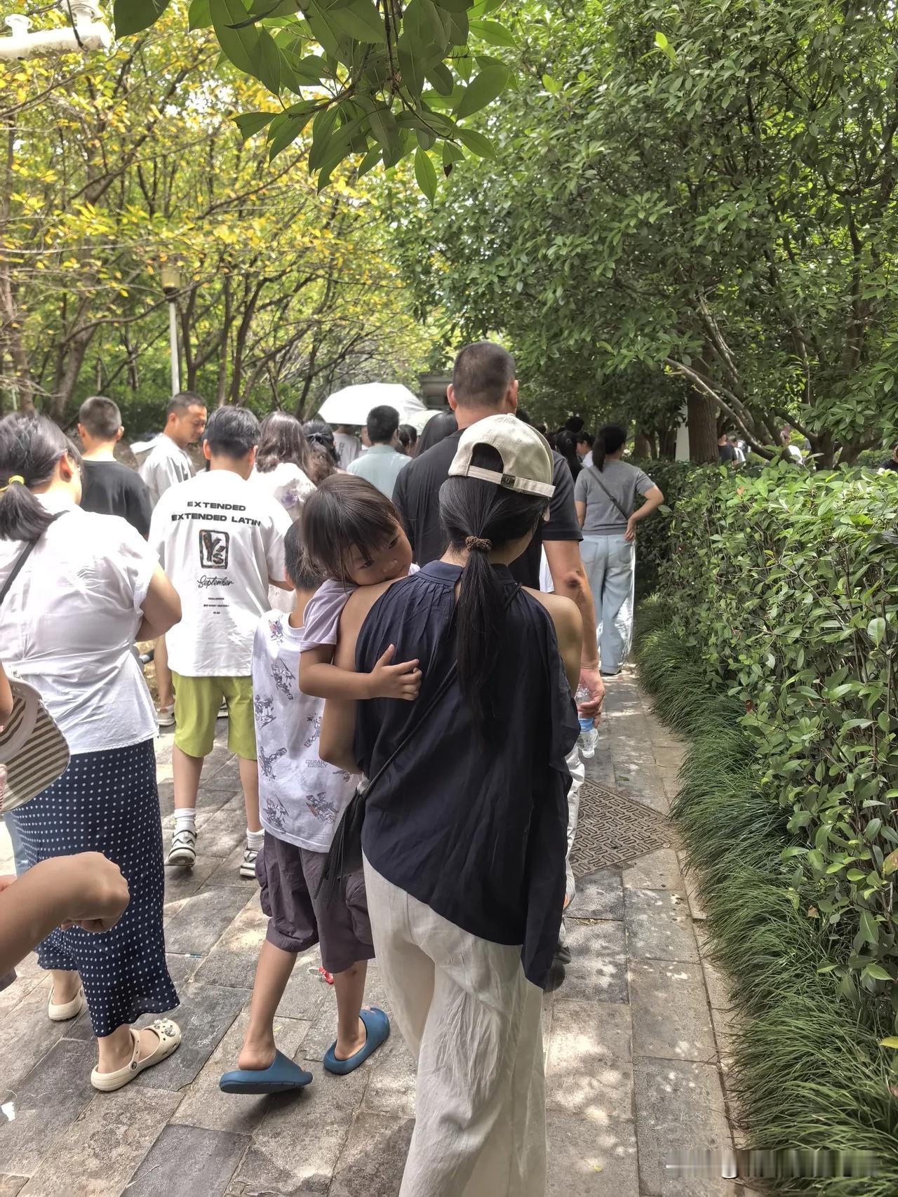 暑假，亲子游催生大学校园旅游热，武大成研学打卡热点。今日去武汉大学，没想到外地游