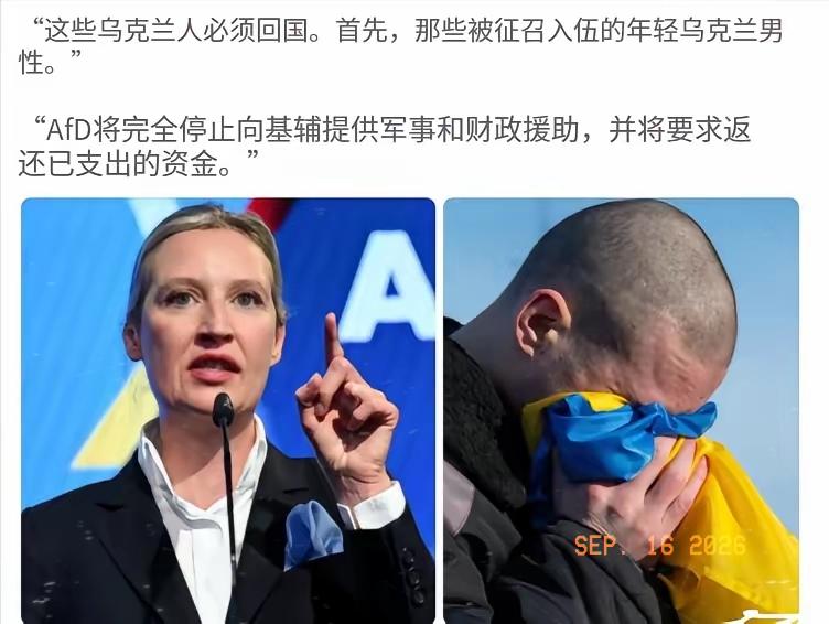 “魏德尔骂的是真狠！”魏德尔在奥地利电视台放话：领公民津贴的一百多万乌克兰人，尤