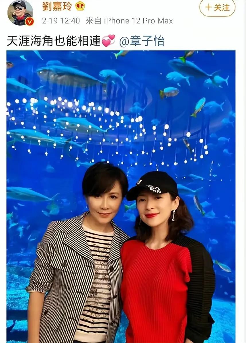 刘嘉玲章子怡又相聚，露脸拍照上演姐妹情深，大13岁刘嘉玲一点不显老！
刘嘉玲保养