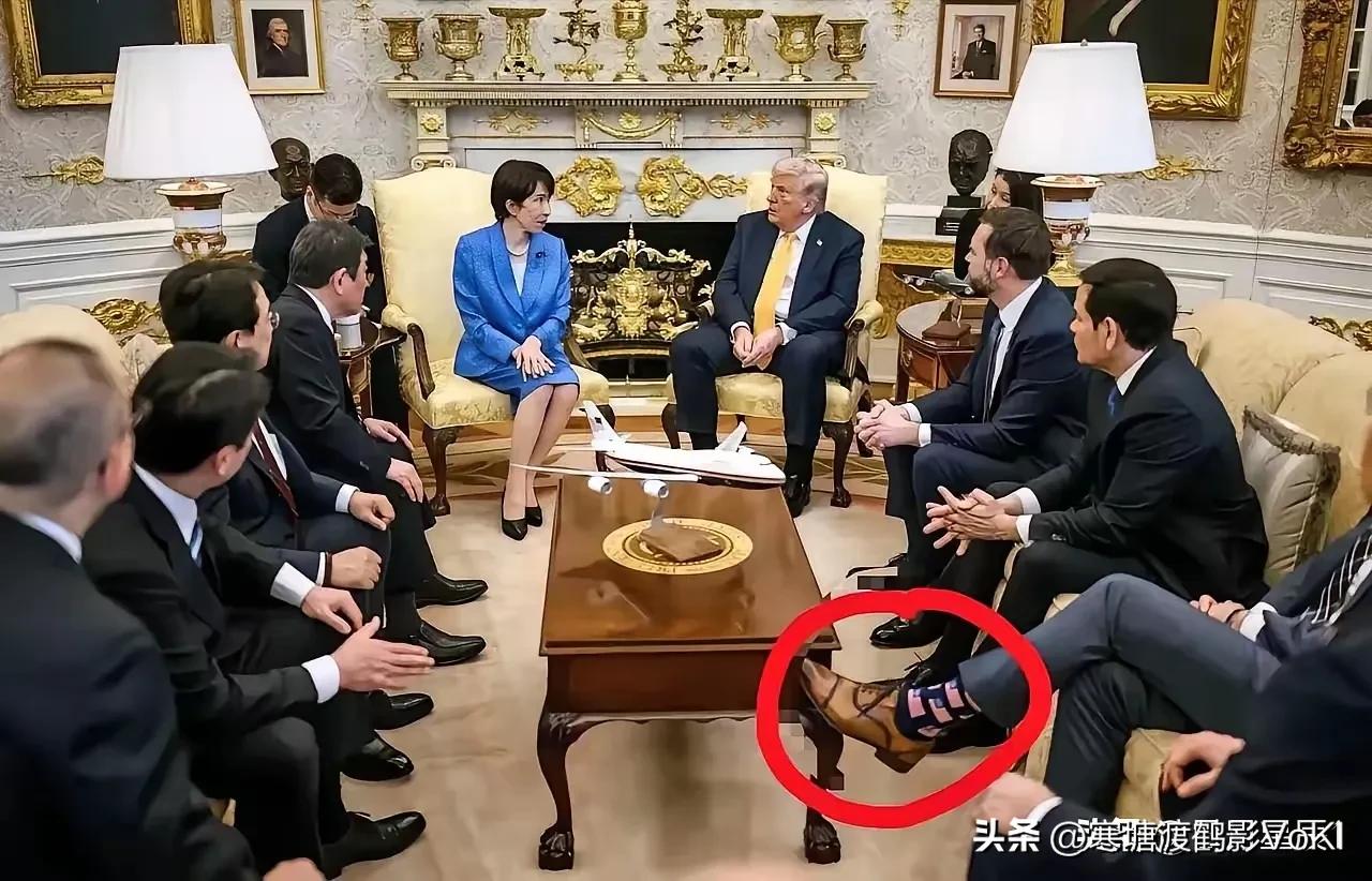 不知道这样的袜子哪里有卖的？我也想买一双穿脚上，一年也不洗一次，直到穿烂为止。