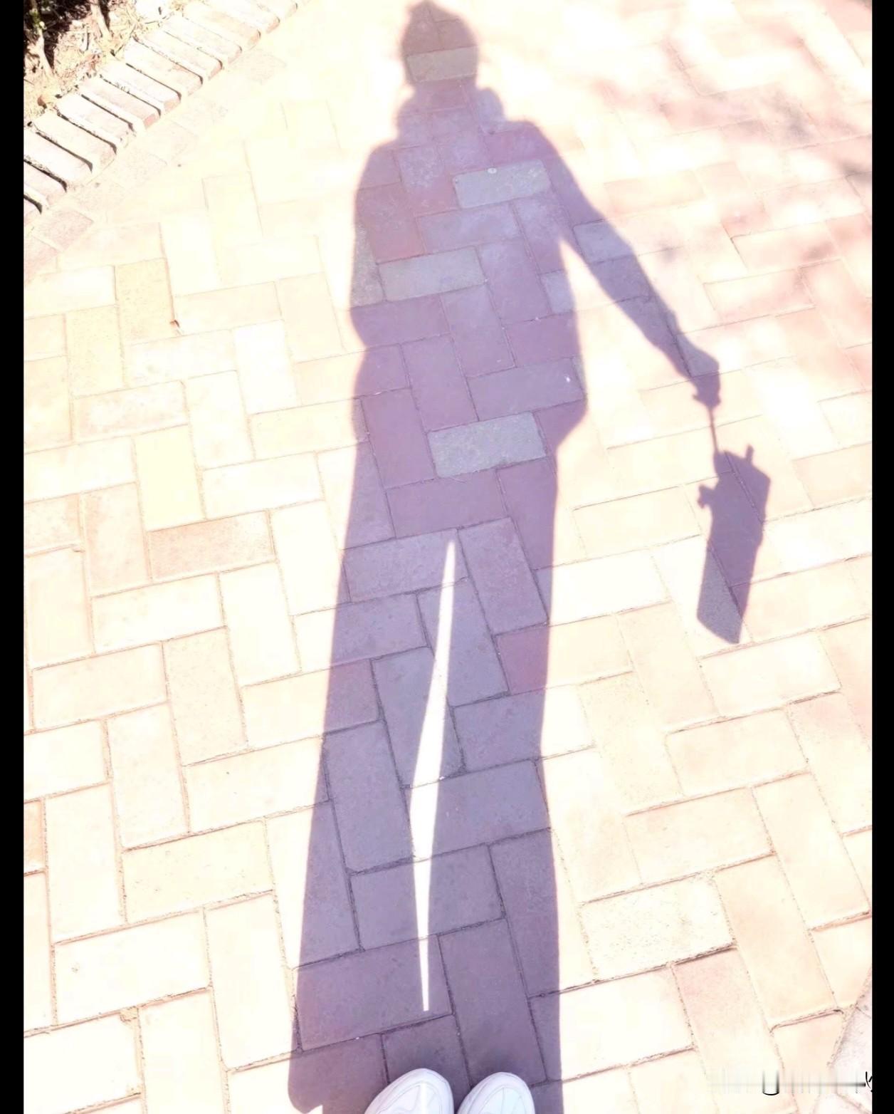 ꧁꫞꯭꫞꧂:
   💕生活并不是每天都新鲜
          安稳比什么都重