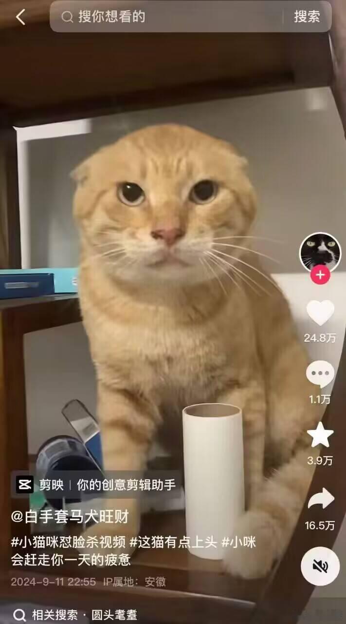 历史上的今天[喵喵] ​​​