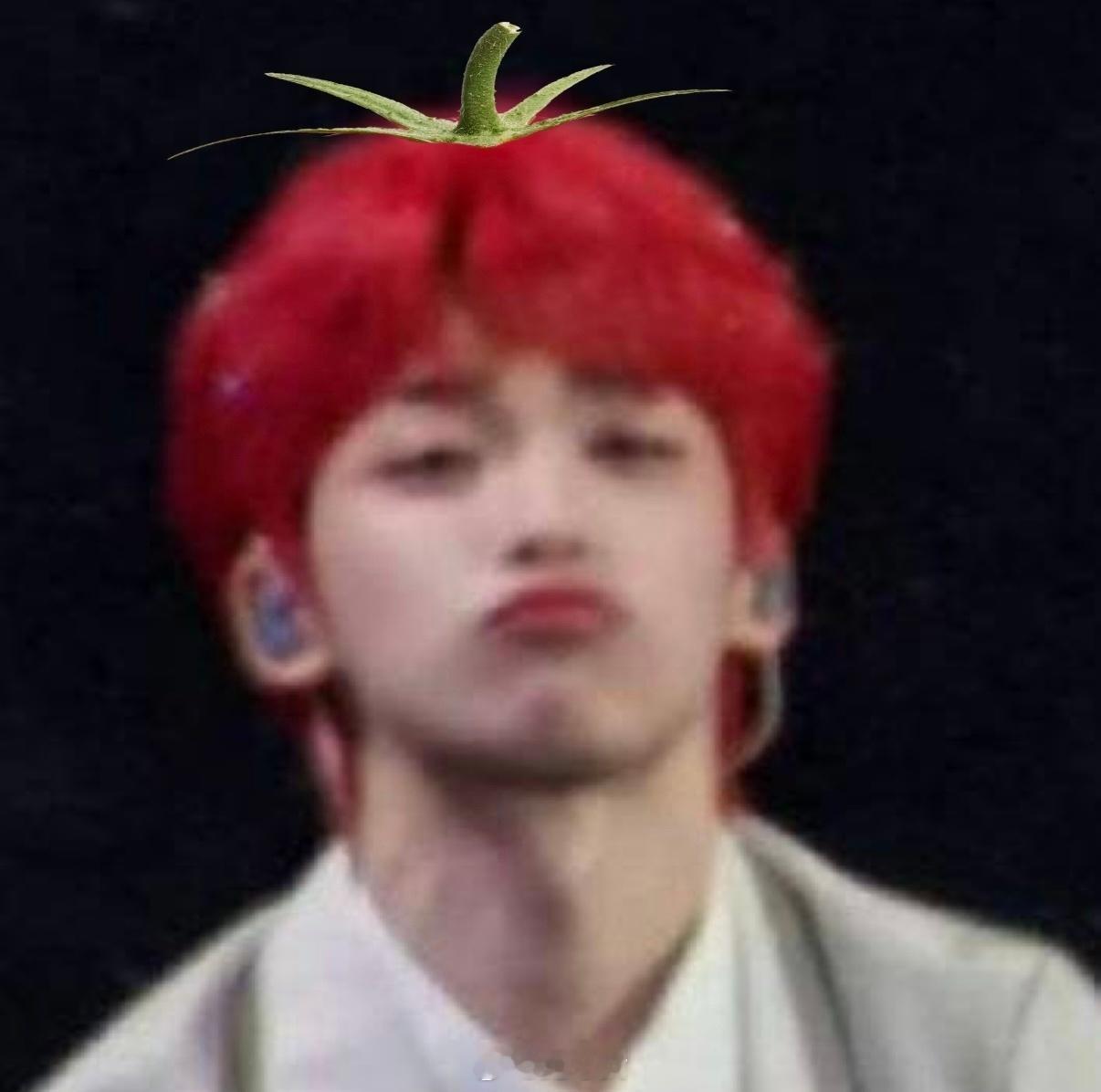 梓渝番茄塑哈哈哈一觉醒来梓渝红发已经变成番茄塑了🍅好萌一口一个梓渝红发与番茄塑