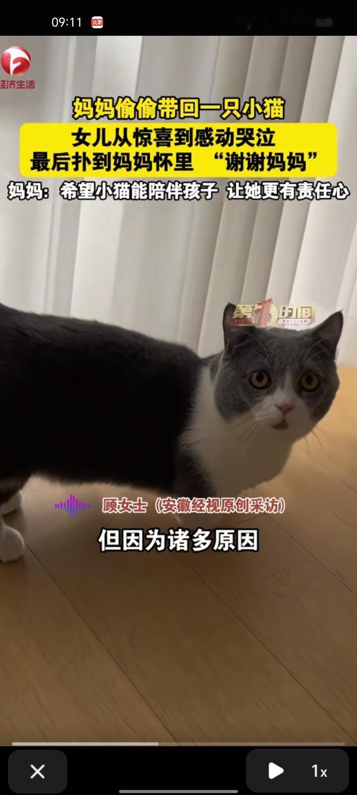 12月9日，泰州靖江市。妈妈偷偷带回一只小猫，女儿看到后从惊喜转变到感动哭泣，最