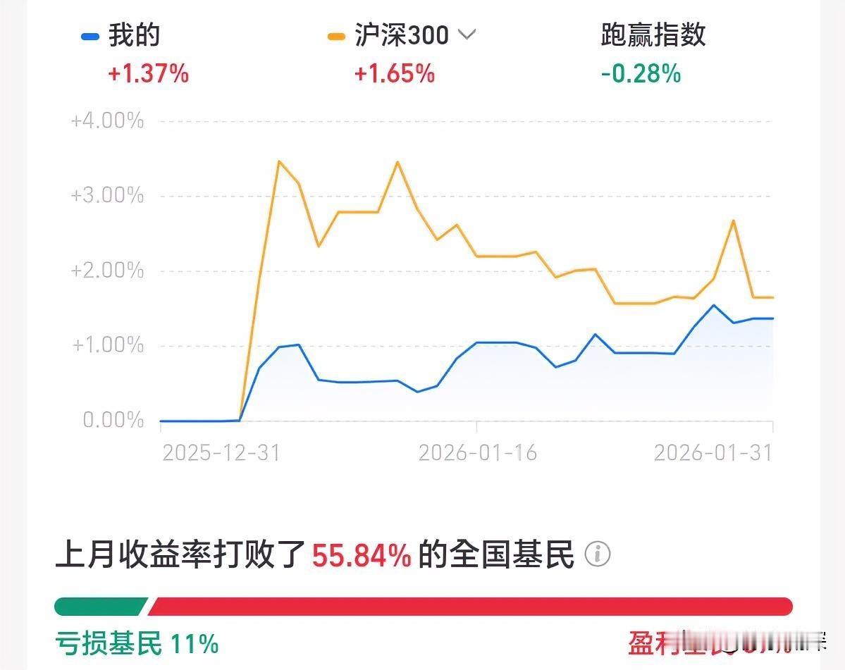 看了一下，一月如此震荡行情，还得取得一些收益，心满意足了。我投资更多是出于兴趣，