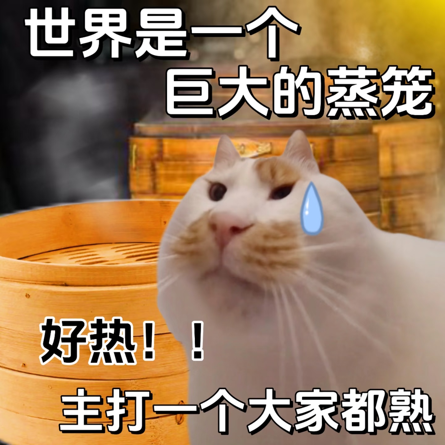 12345回应市民要求干预闷热天气过几天高考万一没考好，是不是会要求重新组织一次