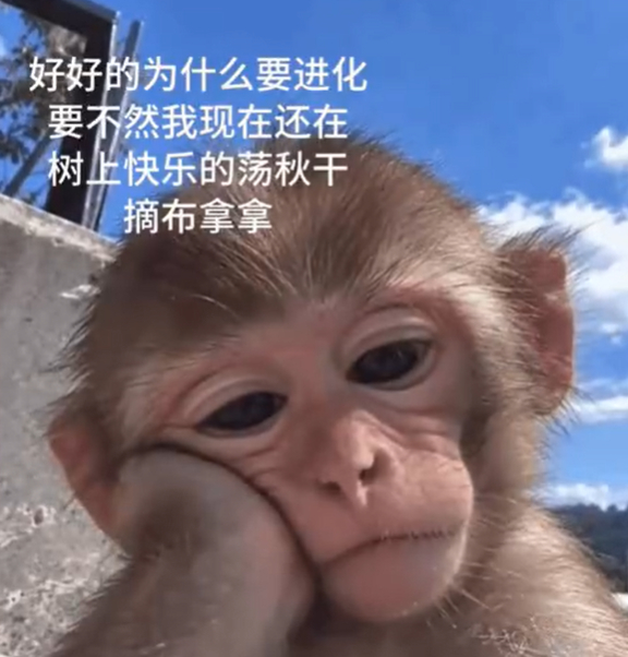 唉 ​​​