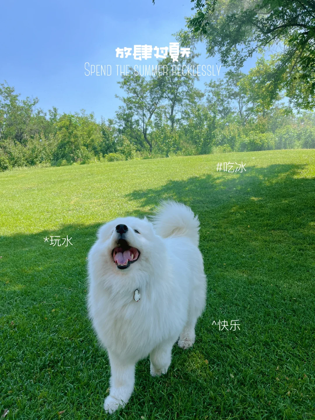我铁公鸡的妈给我买了一根雪糕🍦