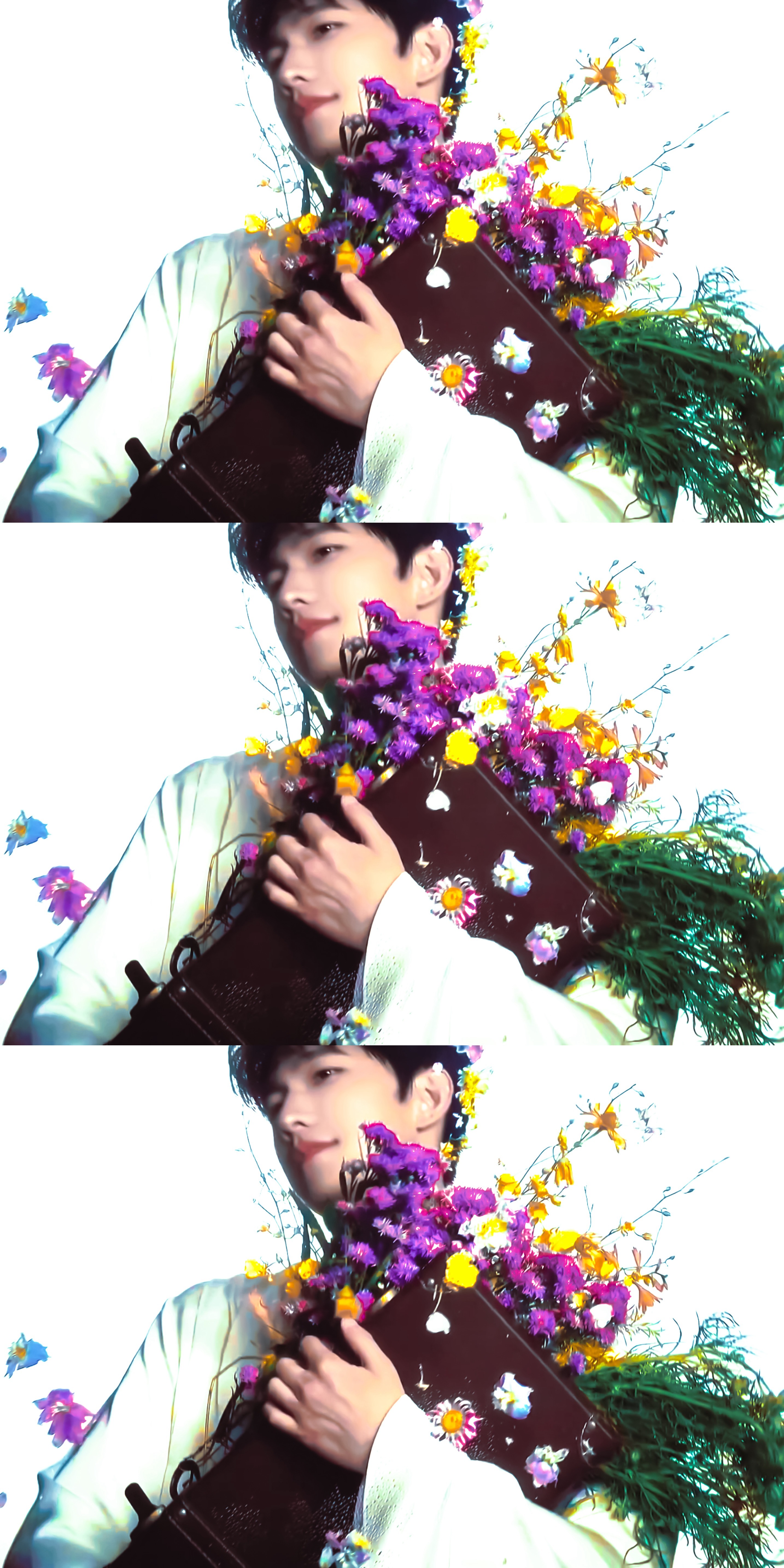 杨洋💐花神… ​​​