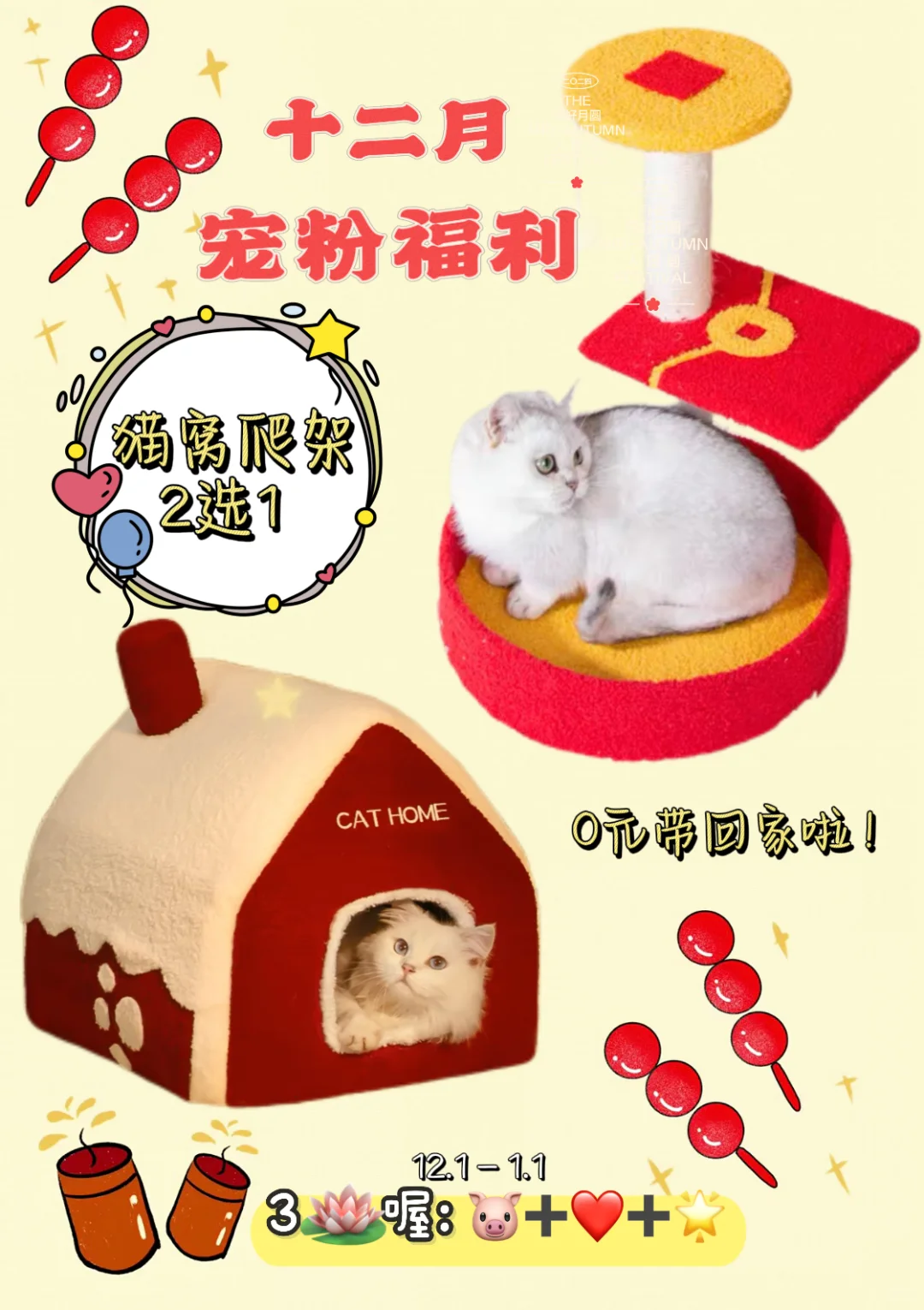 🎁12🈷️宠粉福利✨0元购