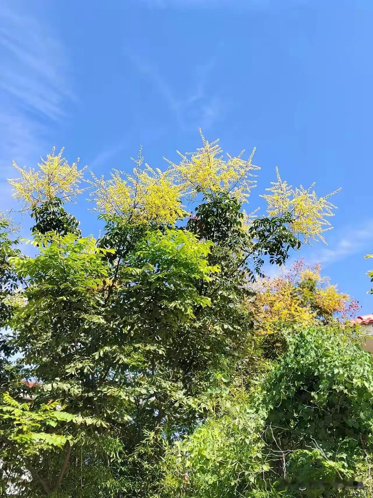 寻找光，追随光，借点光，让微荧成为光，是一种能力。给别人借光，是一种格局，没格局