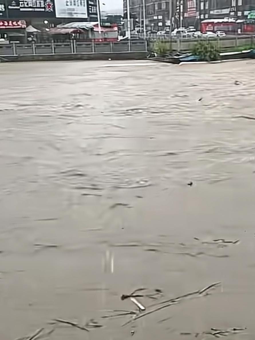 《七律～大雨无情来洗地》

腐草流尘合战风，
风吹阁下仰高中；
污泥浊水穷追浪，