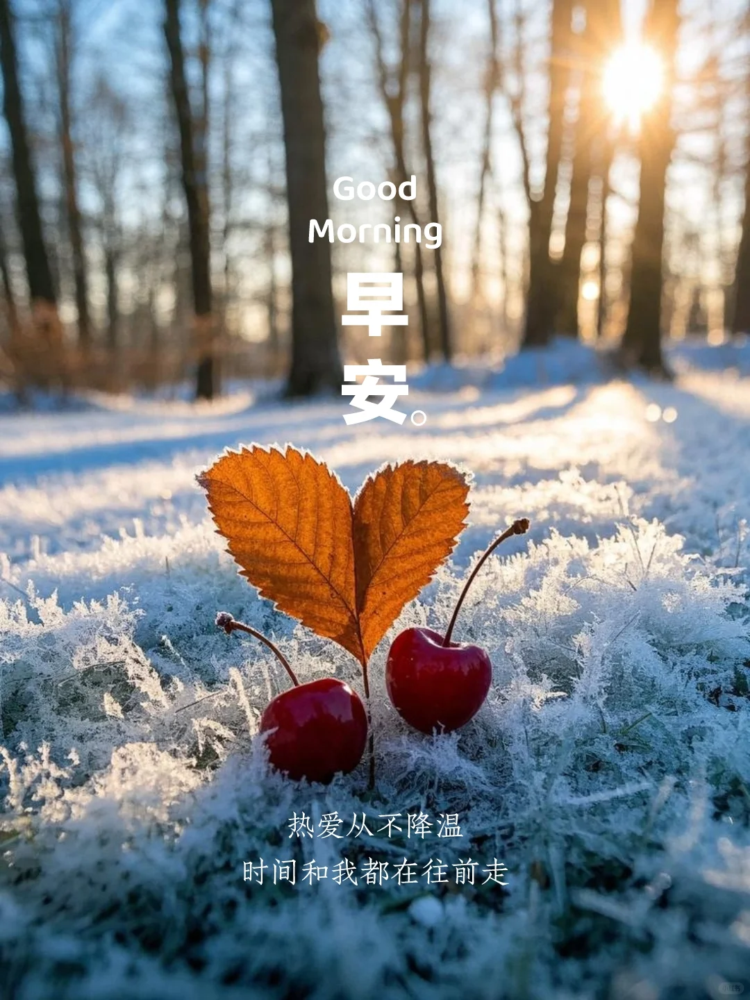 早安日签｜小众文案｜海报设计｜朋友圈