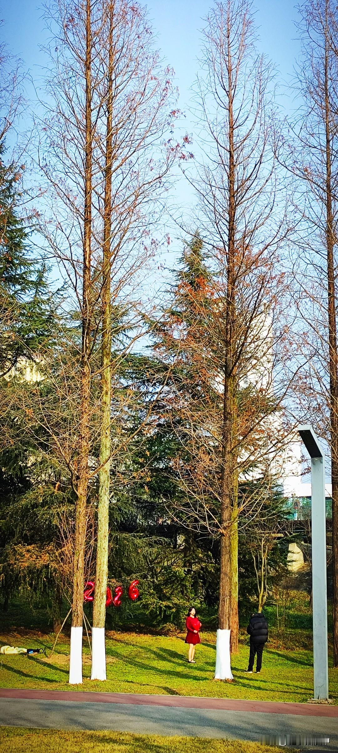 晒图笔记大赛汉江生态文化公园里，美女在拍迎新照片。瞬间时光就具象化了，后天就是2