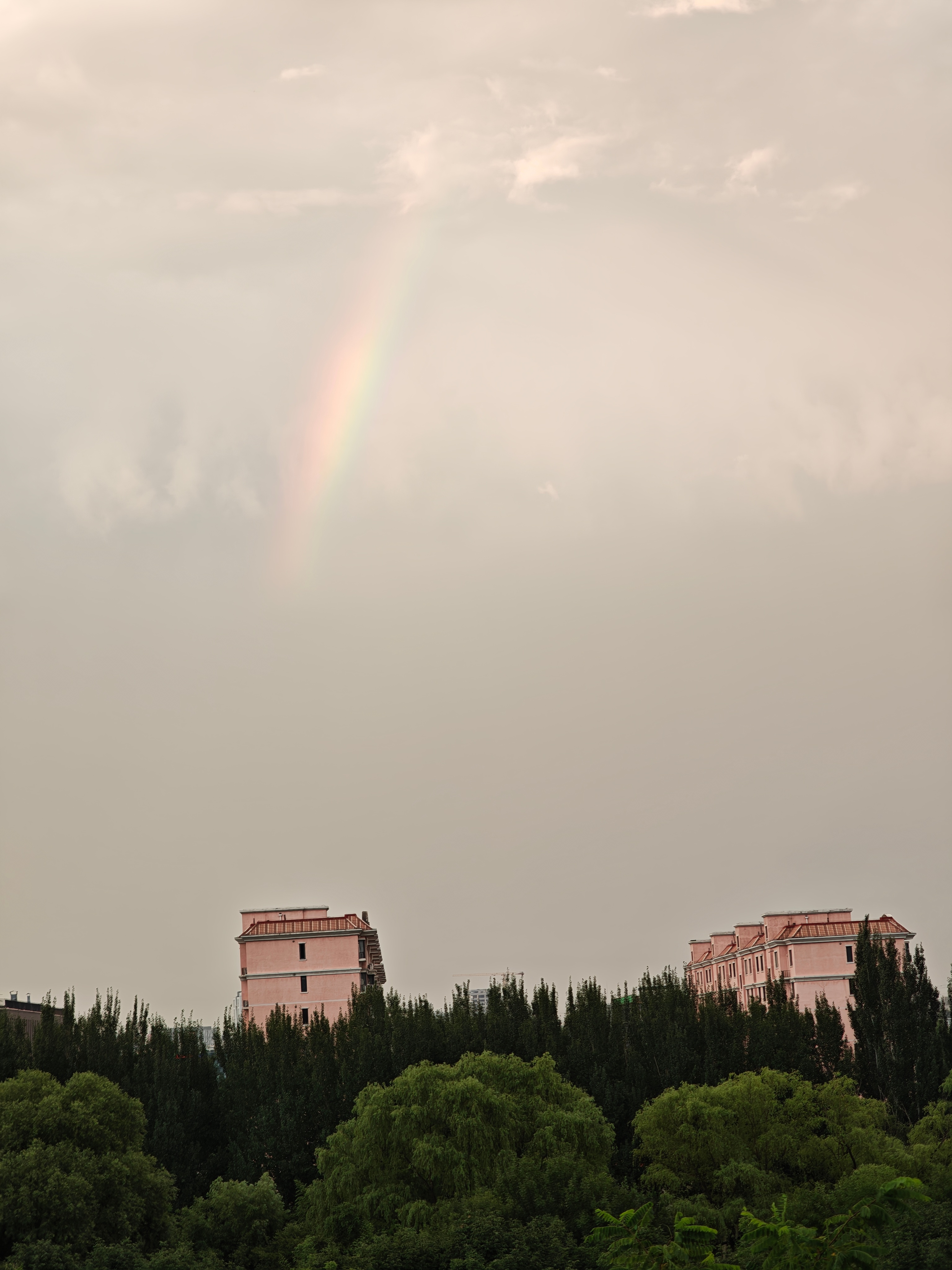 疾风骤雨后，看到了彩虹！北京局地风急雨骤