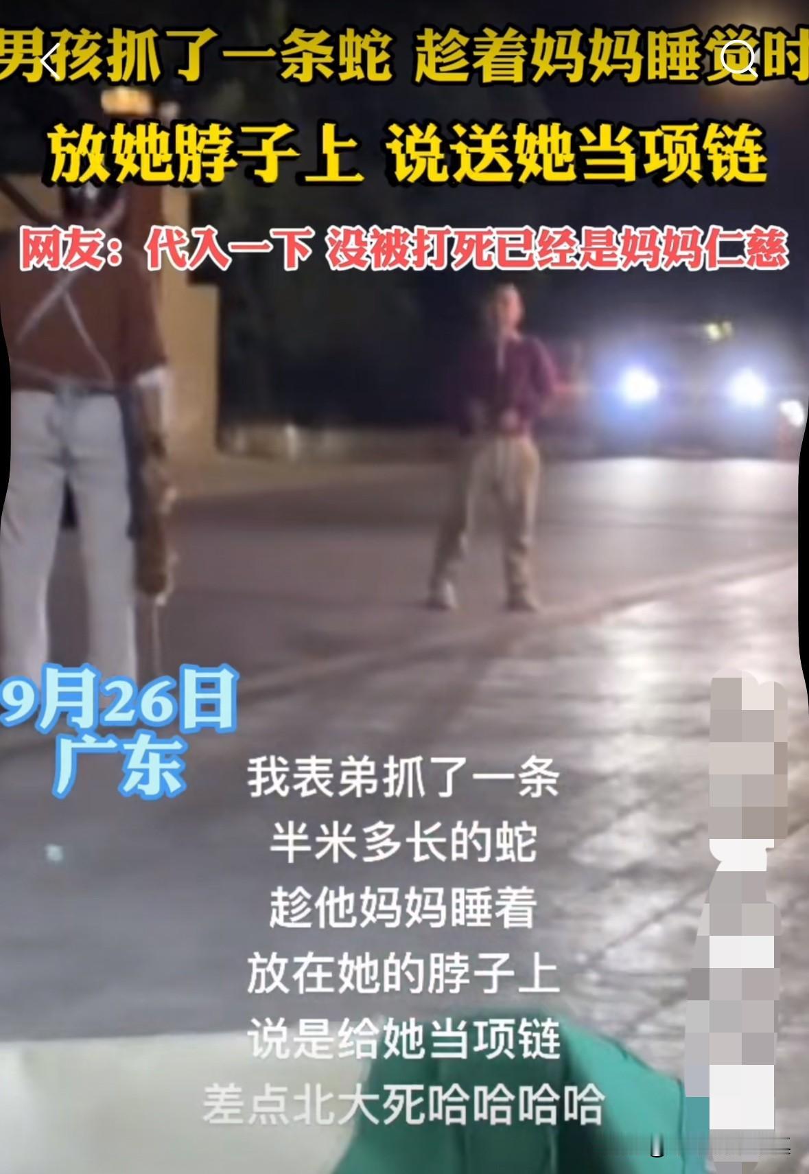 男孩抓了一条蛇，趁妈妈睡着，直接放在妈妈的脖子上，妈妈瞬间被吓醒了，拿着鸡毛掸子
