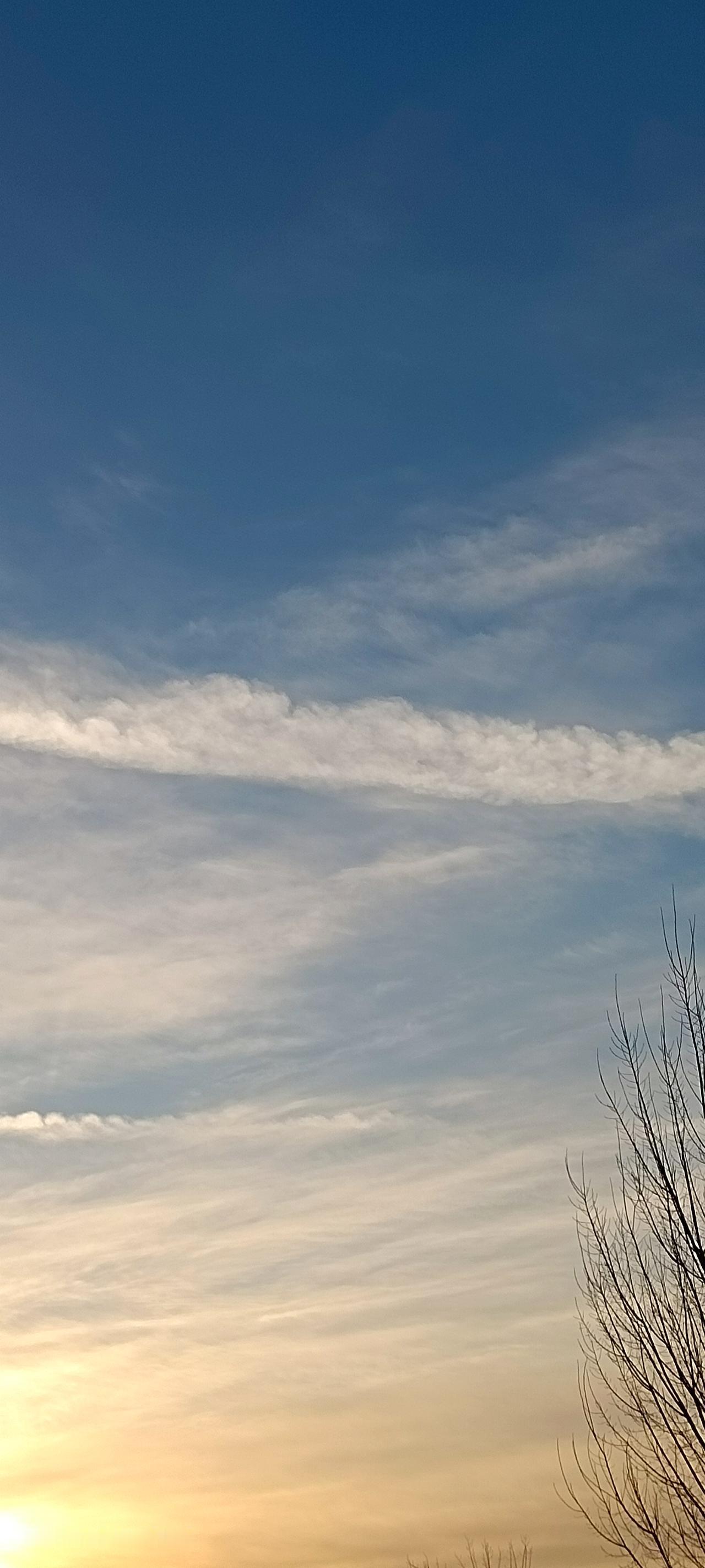 常言道，一个人的命运由上天注定，一个民族和国家的命运亦是如此。这就如同每种动物都