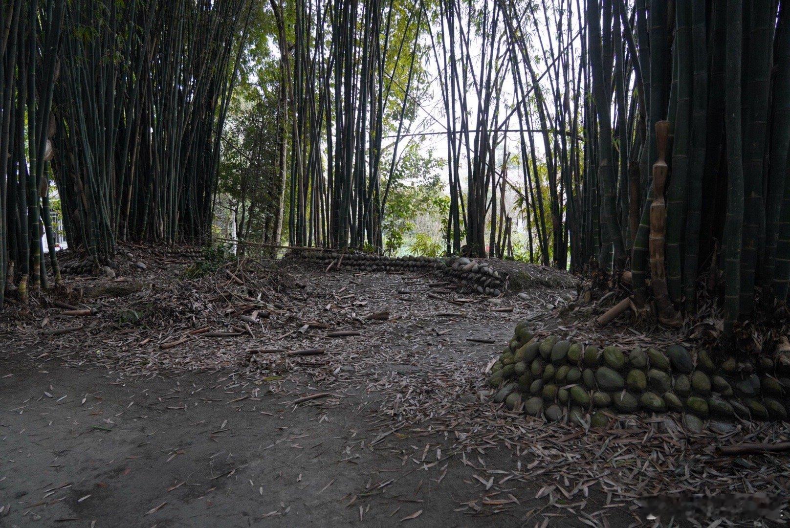 岽游记 成都鱼凫村遗址，属于宝墩文化晚期的一支，城墙为六边形，我们到的时候，陈列