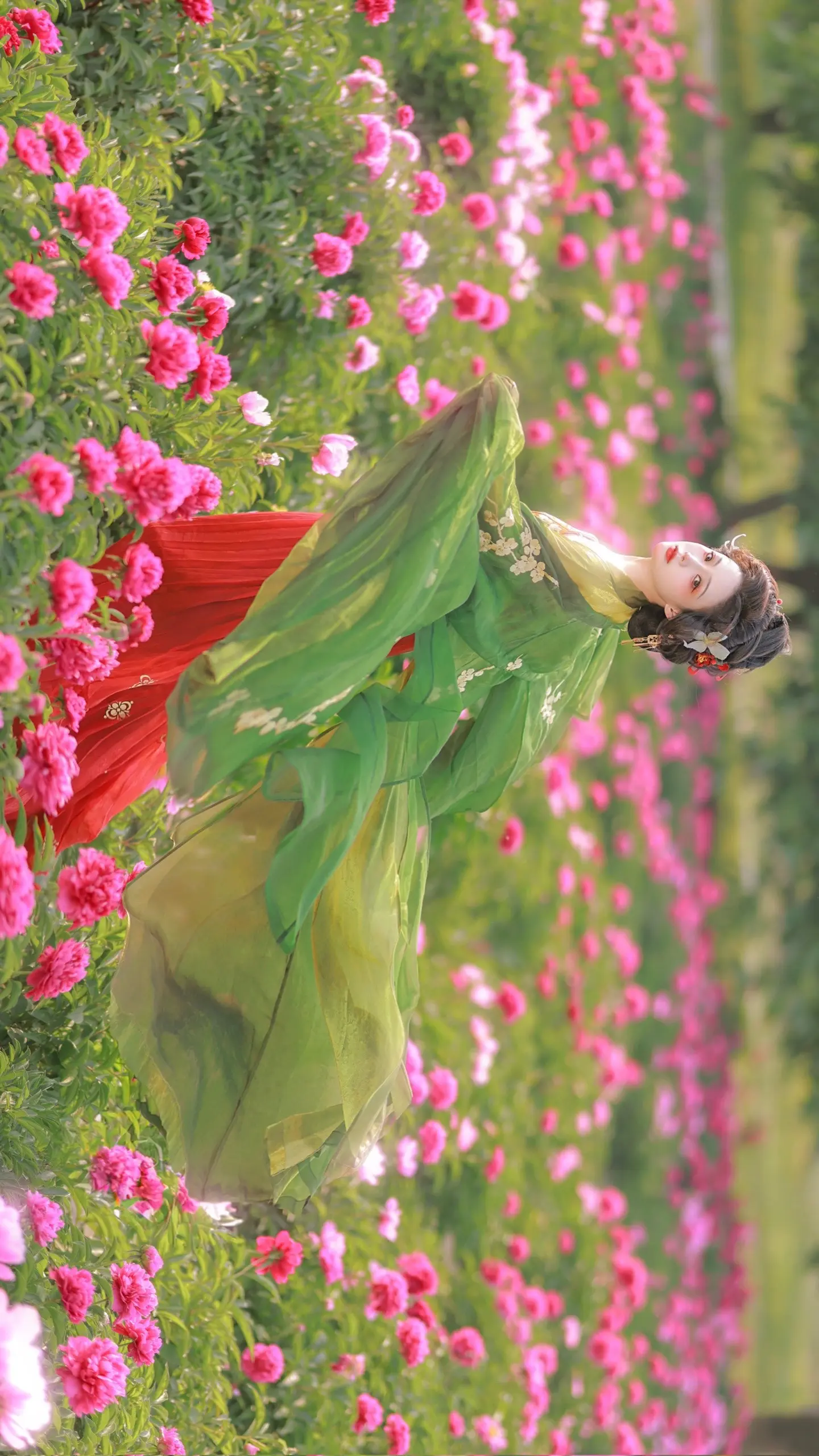 先将芍药献妆台。