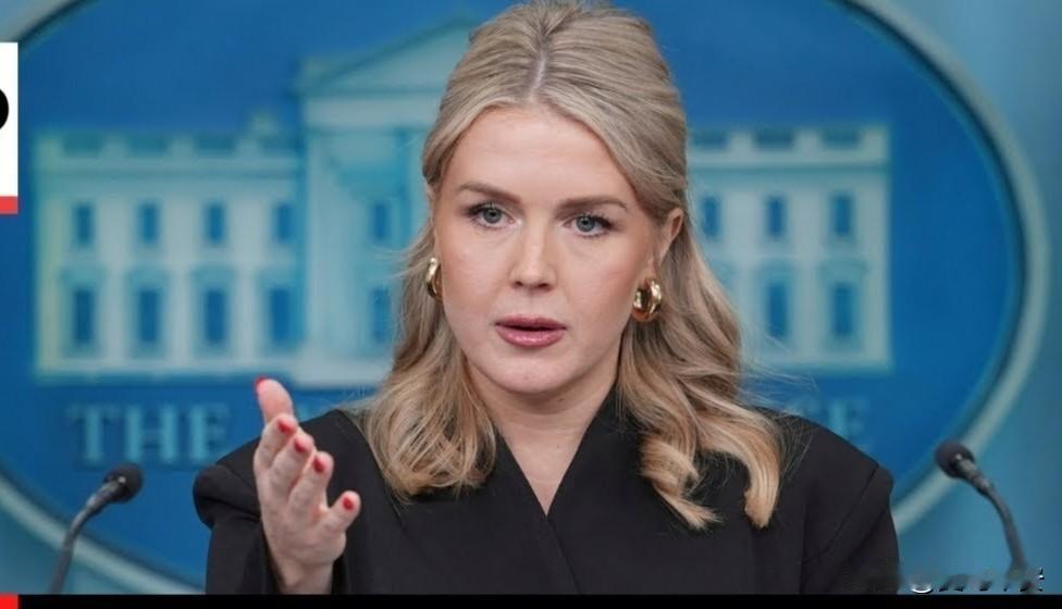 白宫：德黑兰有大麻烦
今天凌晨，卡罗琳在例行记者会上谈到伊朗问题时措辞严厉，这实