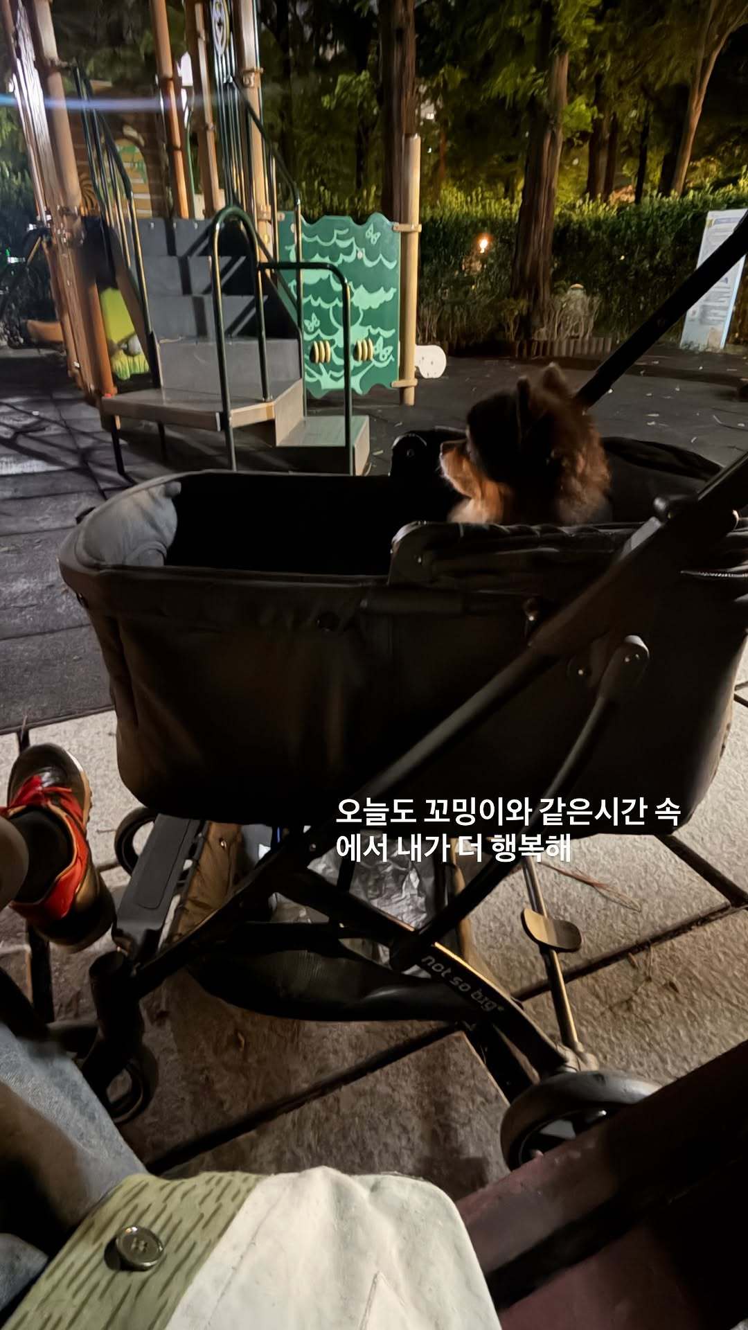 “CB百蓝_。260620金钟云 ins story更新：今天也和小不点身处在相