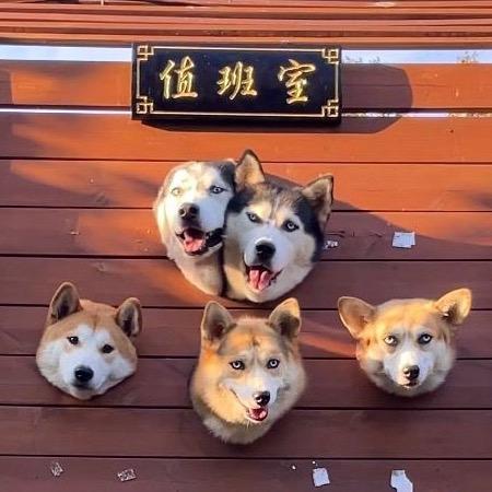 这是小帅家的邻居