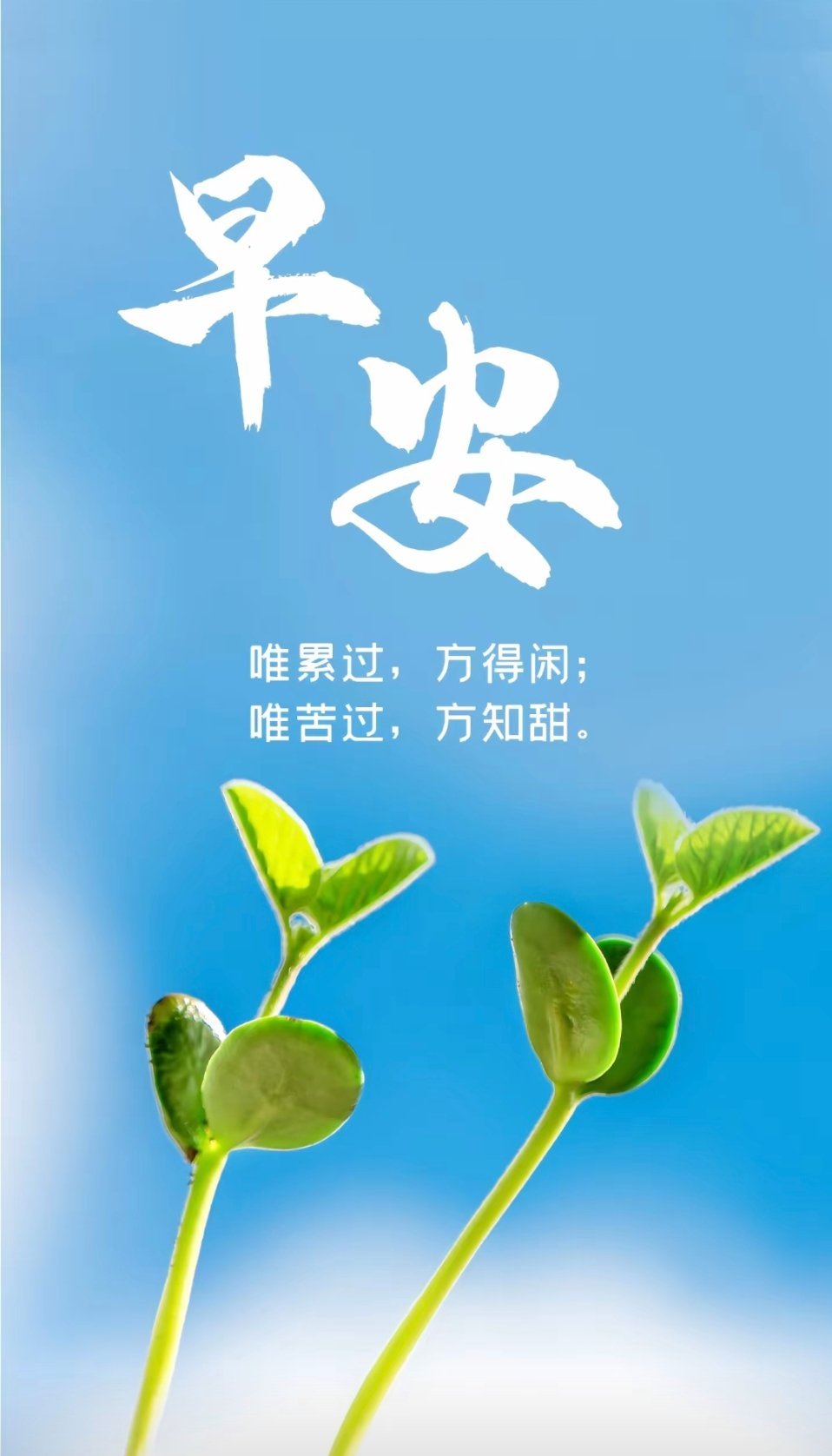 早安 允许一切发生，才能遇见一切可能，一切从容，万事皆美！满心热忱，无限憧憬，拥