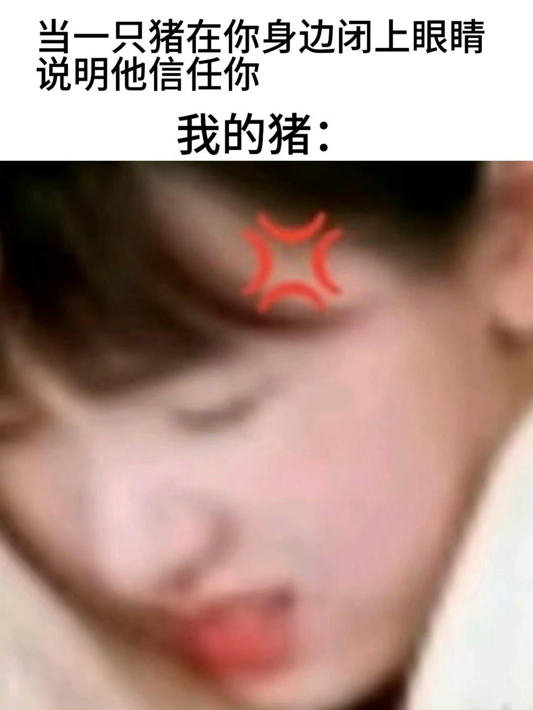 家有萌猪 陈都灵 陈都灵[超话] ​​​
