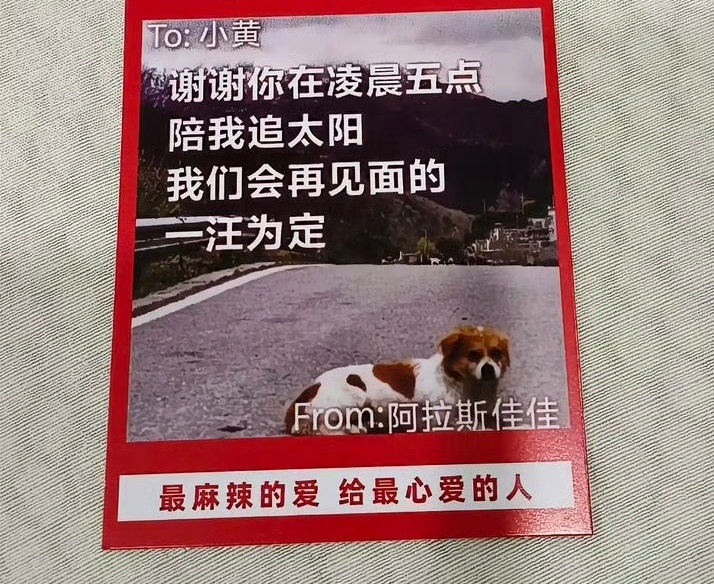 麻辣王子内含陌生人表白卡吃零食还能收获表白小卡，这个小彩蛋还挺有意思。吃辣条的同