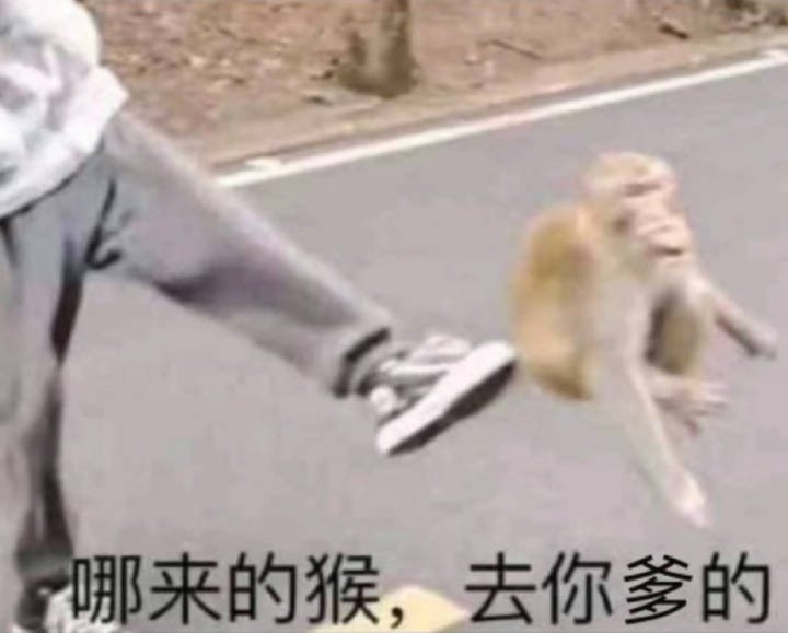 雨几geigei少给窝哇哇叫 