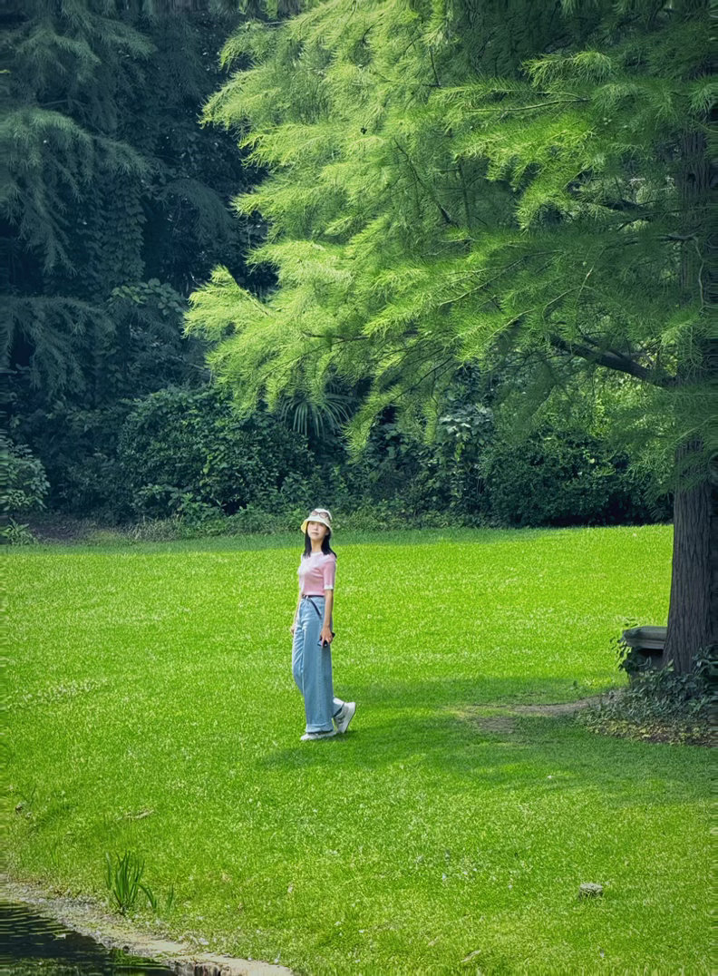 🌳🌳🌳🌳🌳 