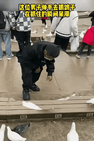 这个男子的素质有待提升，人和动物和谐相处的画面，被他的行为给破坏了，这种人非常可