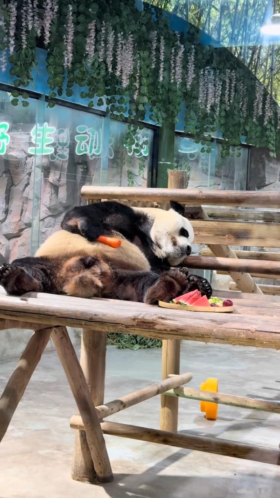 灵岩的水果拼盘吃到累晕么 