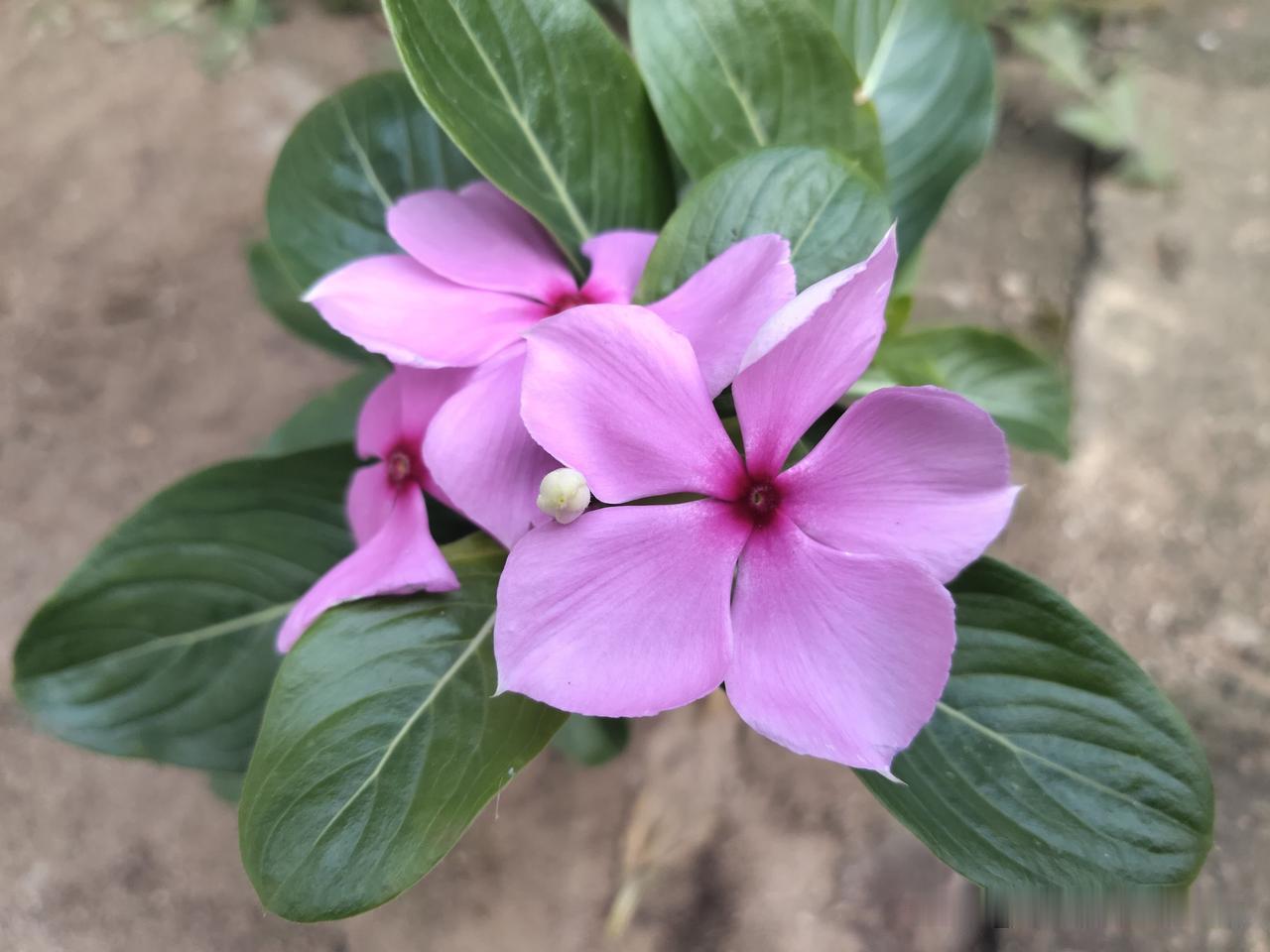 又是崭新的一天
读书
写作
写作即创造价值
助人为乐
做长期主义者