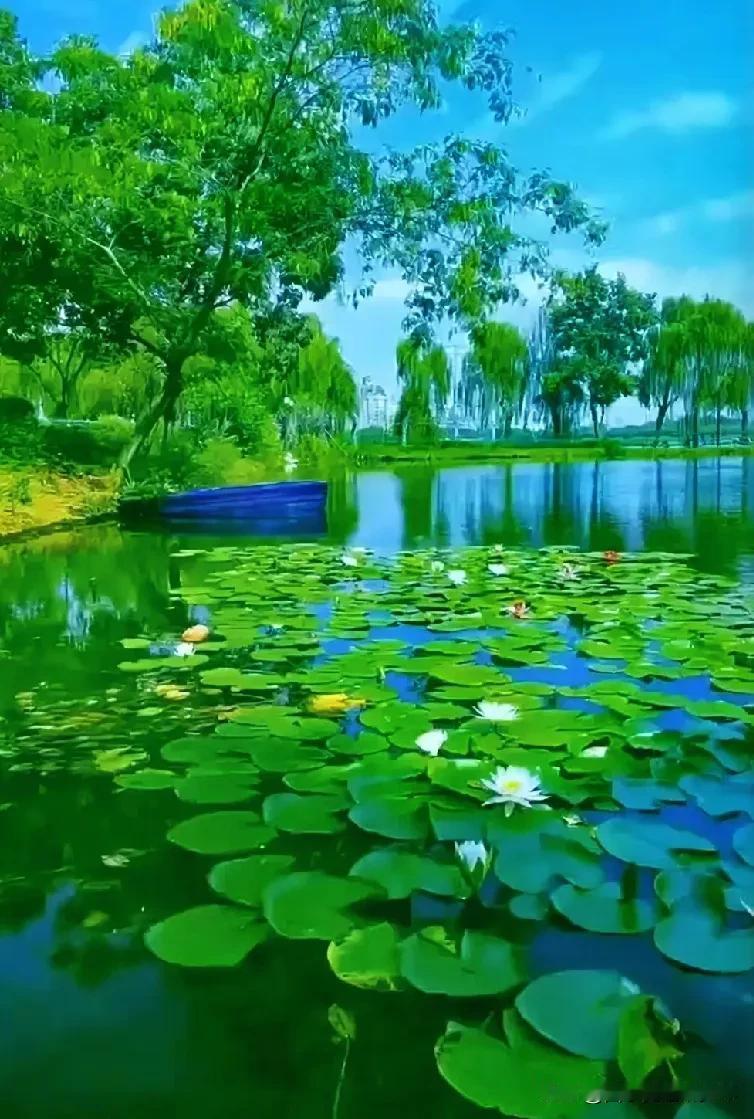 上联:   雪落大地铺画纸，
下联：春用诗雨绘美图