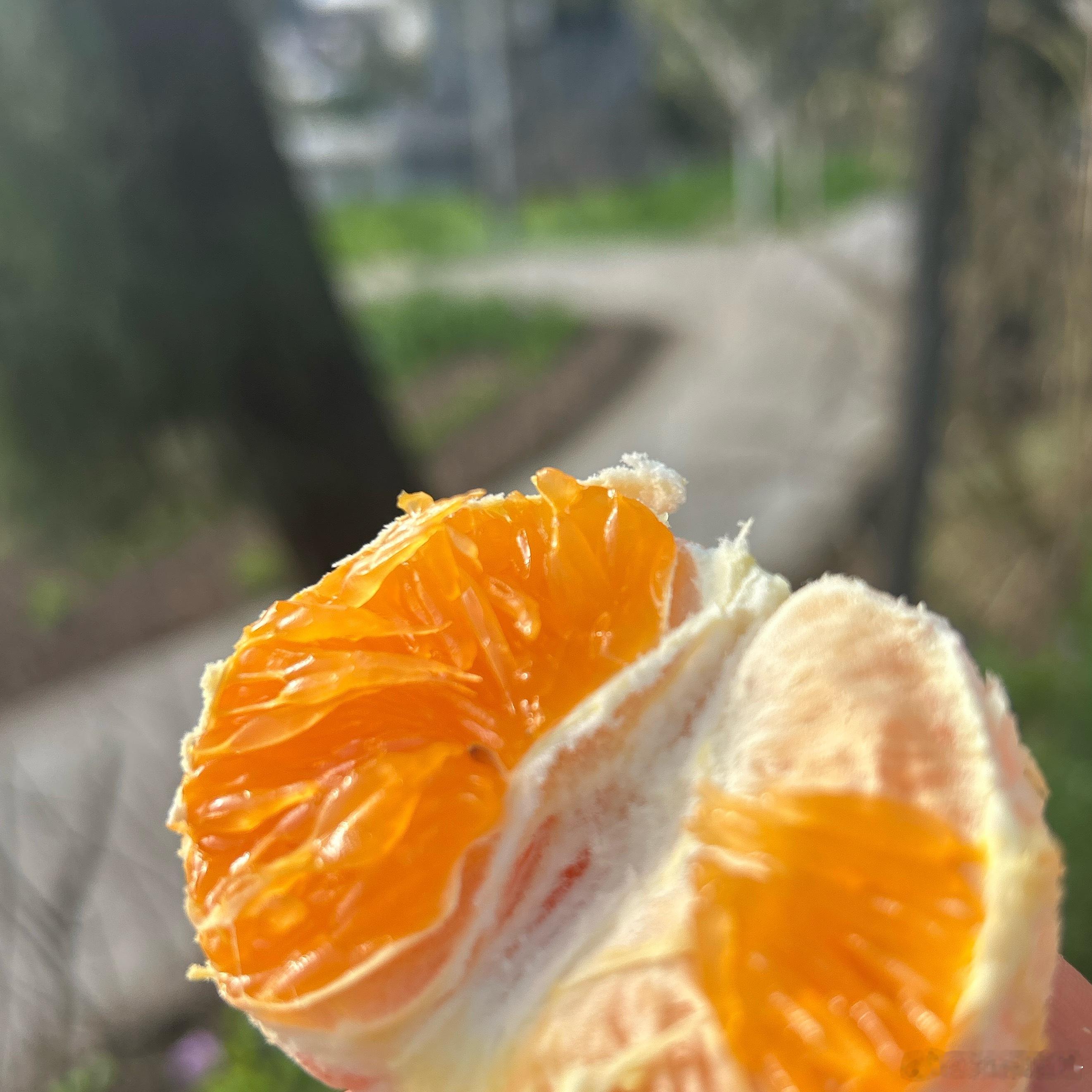 今日份Todolist ✅：👦🏻数学：53四页！四下小数明天检测，看情况收尾