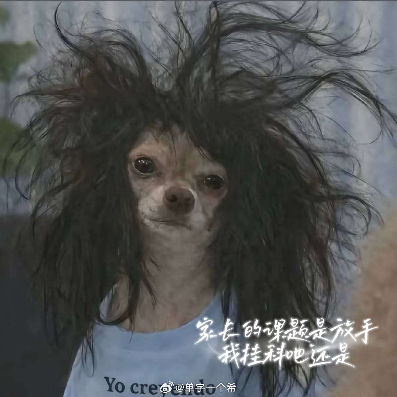 妞妞同班同学都可以自己骑着自行车过条马路到对面商场玩了我都还不放心让妞妞自己坐扶
